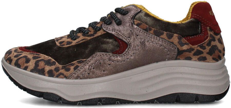 IGI&Co Lage Sneakers IgI&CO 8682633