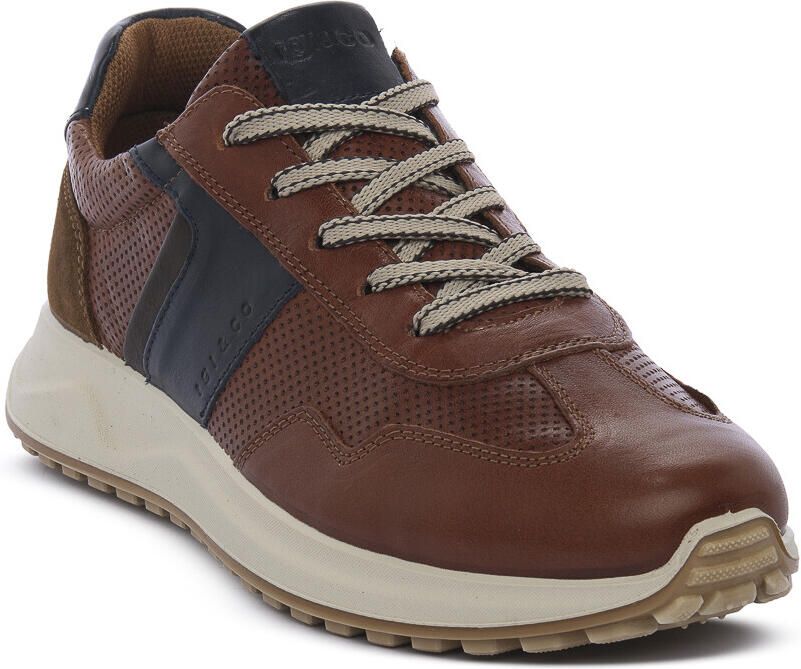 IGI&Co Lage Sneakers IgI&CO SARONNO COGNAC