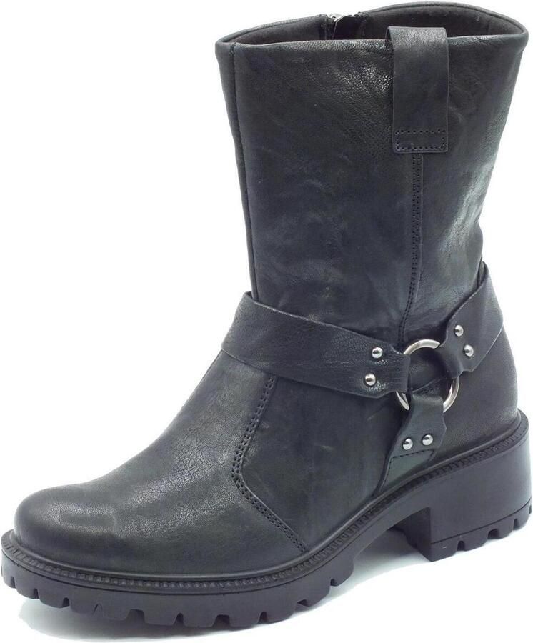 IGI&Co Low Boots IgI&CO 6663300 Capra Met Parke