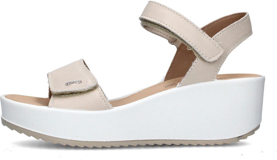 IGI&Co Sandalen IgI&CO 7665611