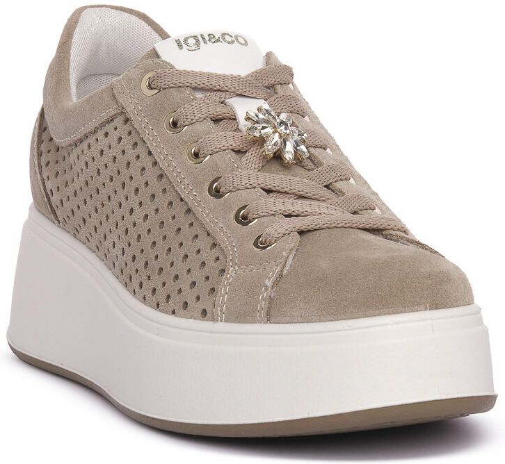 IGI&Co Sneakers IgI&CO ALLY AVORIO