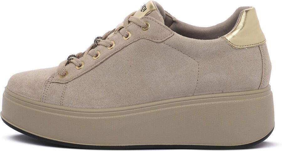 IGI&Co Sneakers IgI&CO ALLY VISONE