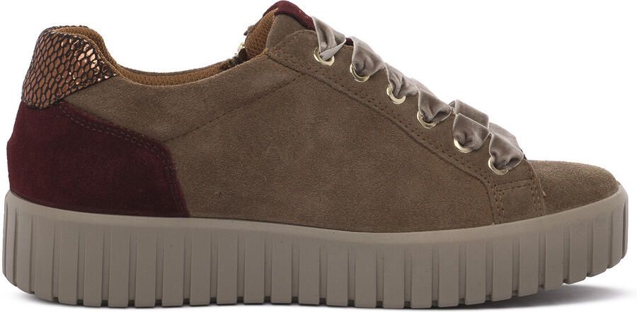IGI&Co Sneakers IgI&CO ARES FANGO