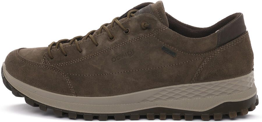 IGI&Co Sneakers IgI&CO EOLO FANGO