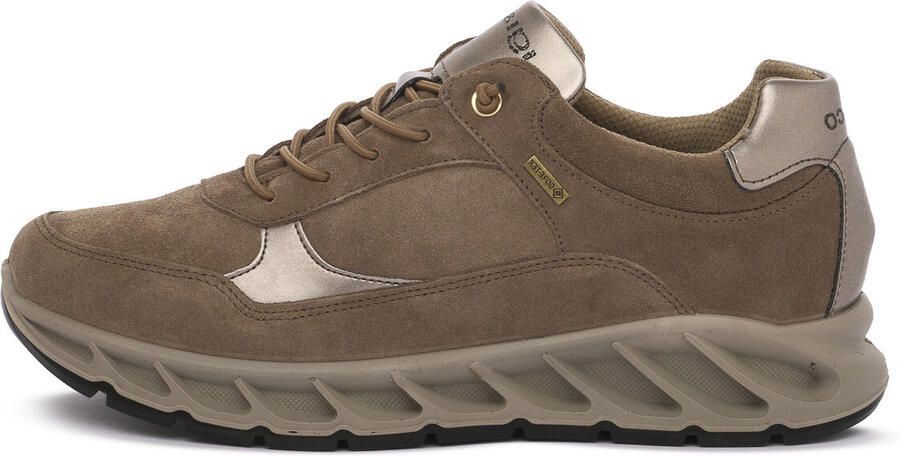 IGI&Co Sneakers IgI&CO FANGO