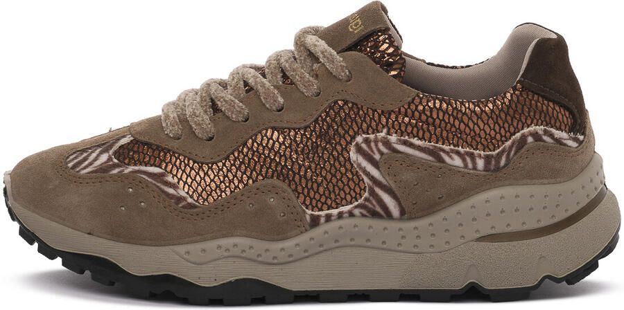 IGI&Co Sneakers IgI&CO FANGO