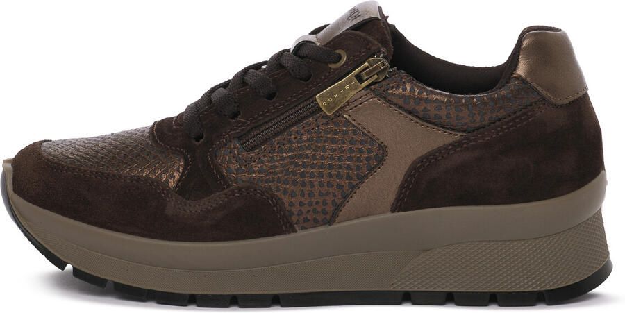 IGI&Co Sneakers IgI&CO FANGO