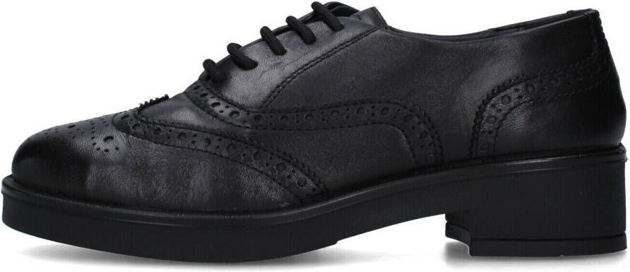 IGI&Co Klassieke Schoenen IgI&CO 8650300