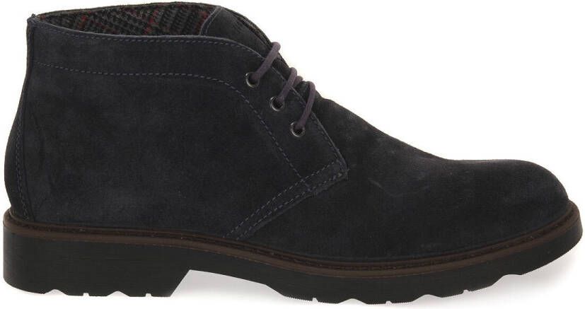 IGI&Co Laarzen IgI&CO CELSON BLU