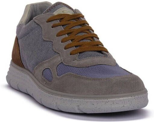 IGI&Co Sneakers IgI&CO GRIGIO BERTH