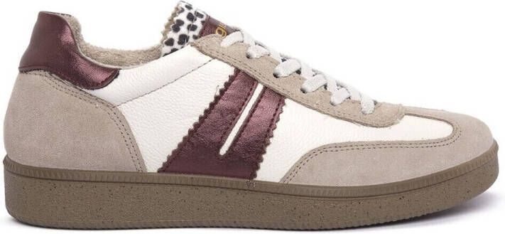 IGI&Co Lage Sneakers IgI&CO ATALA VISONE