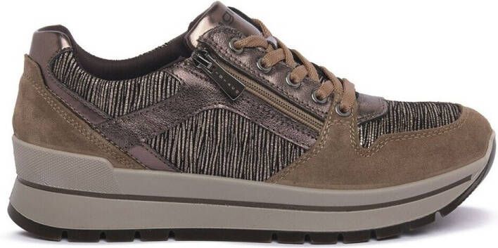 IGI&Co Sneakers IgI&CO ANIKA BRONZO