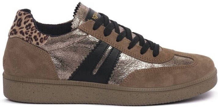 IGI&Co Sneakers IgI&CO ATALA FANGO