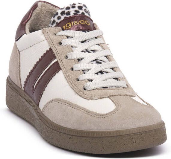 IGI&Co Lage Sneakers IgI&CO ATALA VISONE