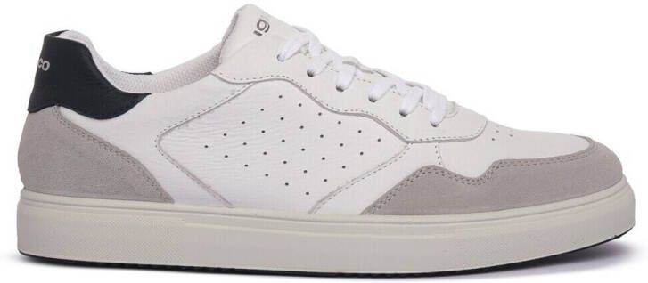 IGI&Co Lage Sneakers IgI&CO Sasha