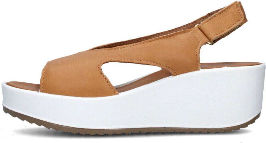 IGI&Co Sandalen IgI&CO 7666022