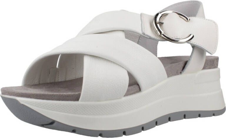 IGI&Co Sandalen IgI&CO 7677333IG