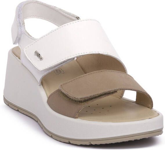 IGI&Co Sandalen IgI&CO MARMOTTA CAROLA