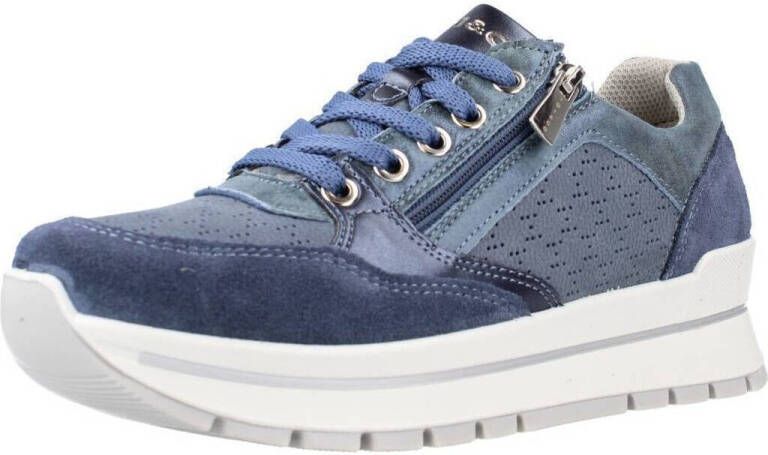 IGI&Co Sneakers IgI&CO 3660333
