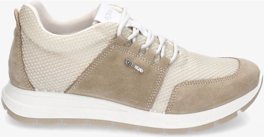 IGI&Co Sneakers IgI&CO 5661222