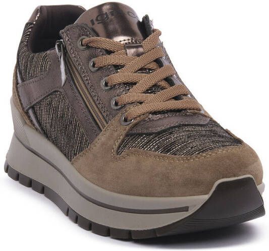 IGI&Co Sneakers IgI&CO ANIKA BRONZO