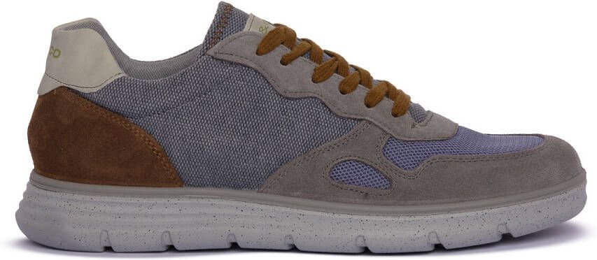 IGI&Co Sneakers IgI&CO GRIGIO BERTH