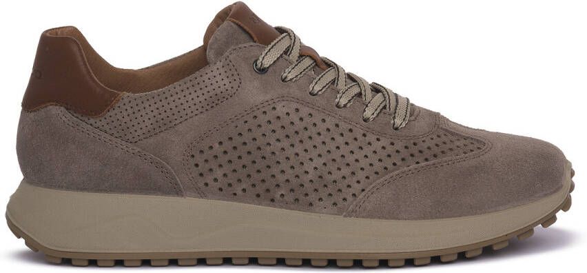 IGI&Co Sneakers IgI&CO SARONNO