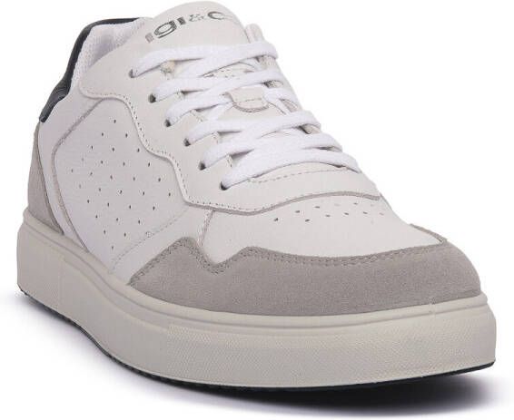 IGI&Co Sneakers IgI&CO SASHA