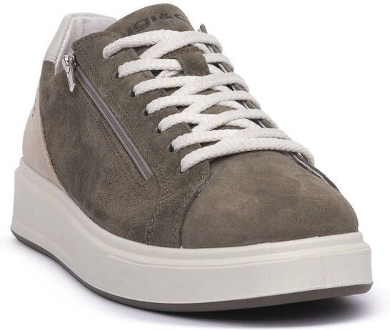 IGI&Co Sneakers IgI&CO STEN