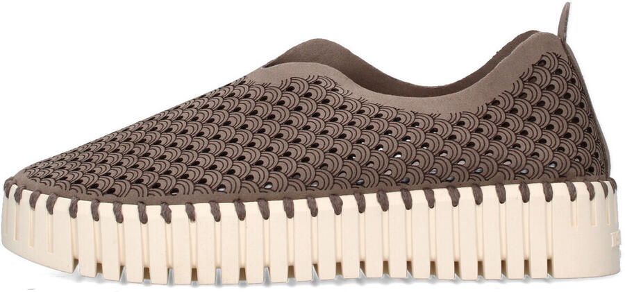 Ilse Jacobsen Lage Sneakers IJ.TULIP3373