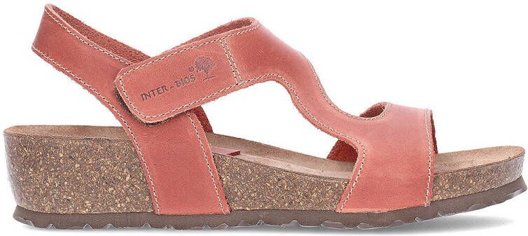 Interbios Sandalen 5316 damessandalen