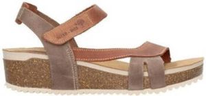 Interbios Sandalen 5802 CRAZY PARDO OURS Mujer Cuero