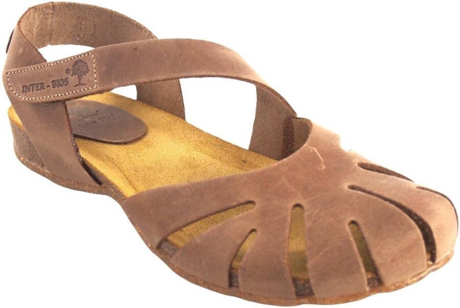 Interbios Sportschoenen Zapato señora INTER BIOS 4456 taupe