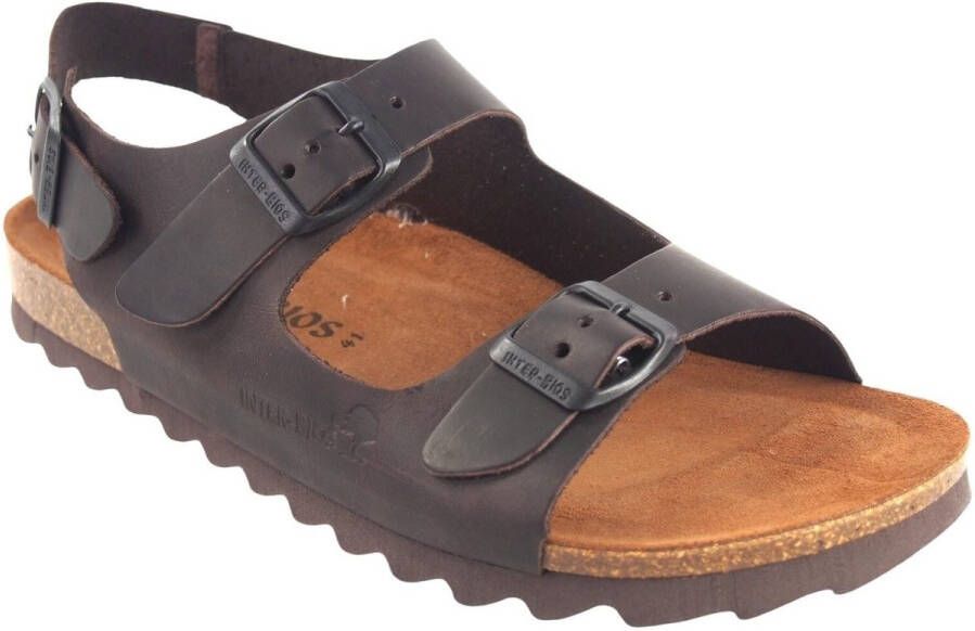 Interbios Sportschoenen Sandalia caballero INTER BIOS 9567-sm marron