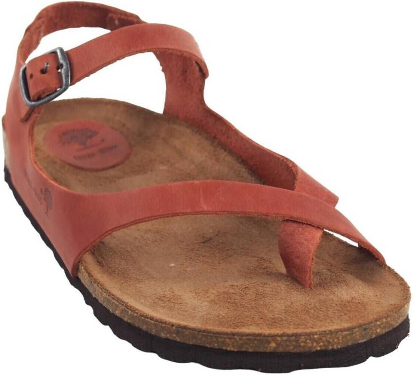 Interbios Sportschoenen Sandalia señora INTER BIOS 7164 teja