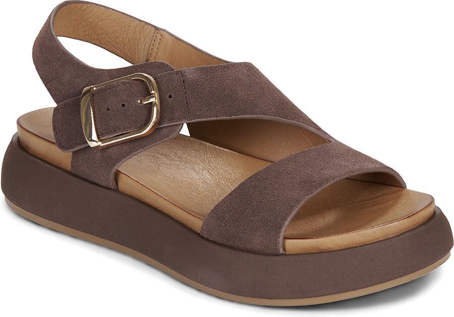 Inuovo A96064 dark brown Bruin