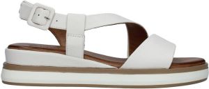 Inuovo Sandalen 113060