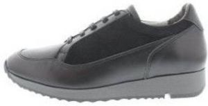 Jj Footwear Sneakers 508 Accel E