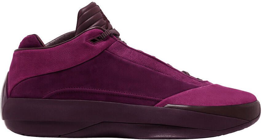 Nike Basketbalschoenen Jordan 40 Bordeaux