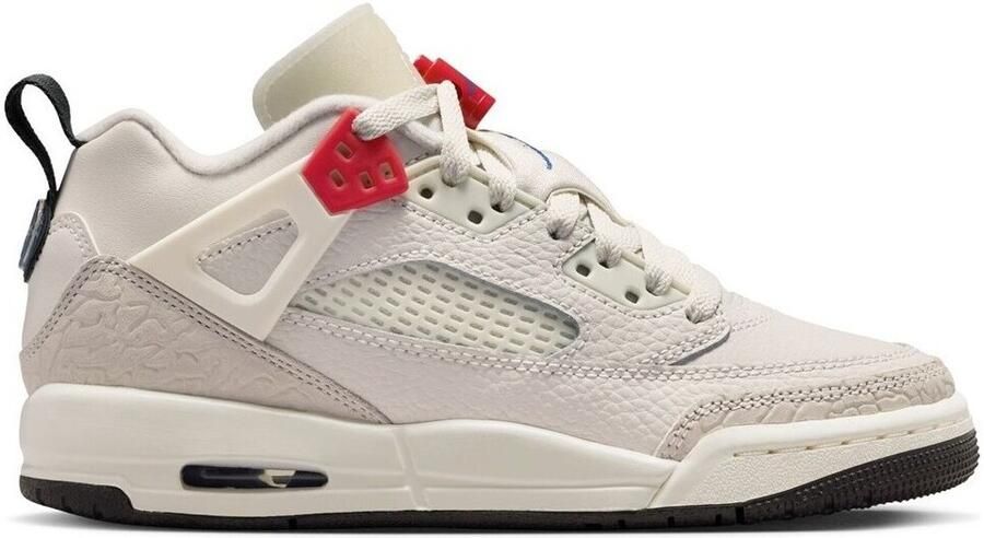 Nike Lage Sneakers Jordan Spizike Low