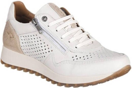Kangaroos Lage Sneakers 803