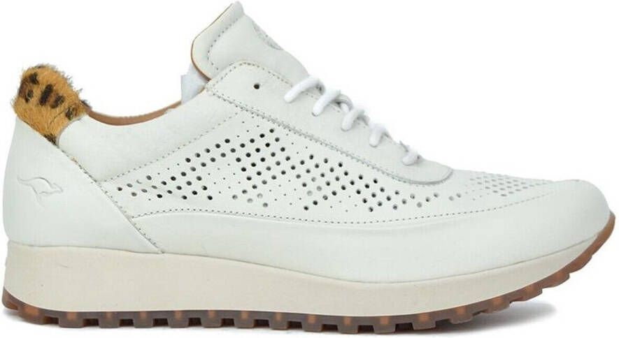 Kangaroos Sneakers 37839