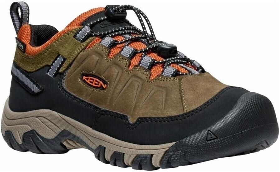 Keen Wandelschoenen Targhee Iv Low Wp