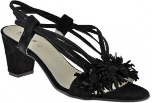 Keys Sneakers Talon50