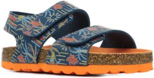 Kickers Sneakers Summerkro