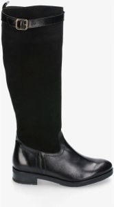 Kissia Laarzen 583