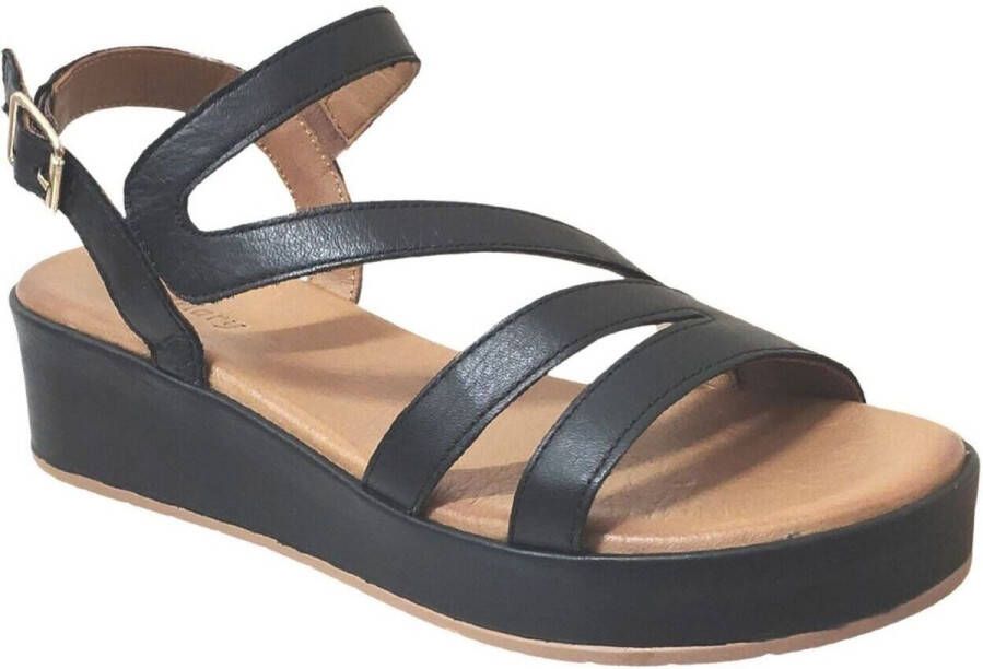 K.mary Sandalen Galago