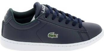Lacoste Sneakers Carnaby C Marine Blanc