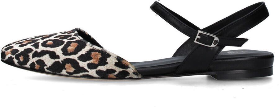 L'arianna Ballerina's CH2027