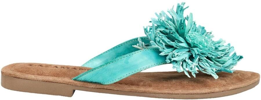 Lazamani Roza Dames Teenslippers Leer Turquoise - Foto 2